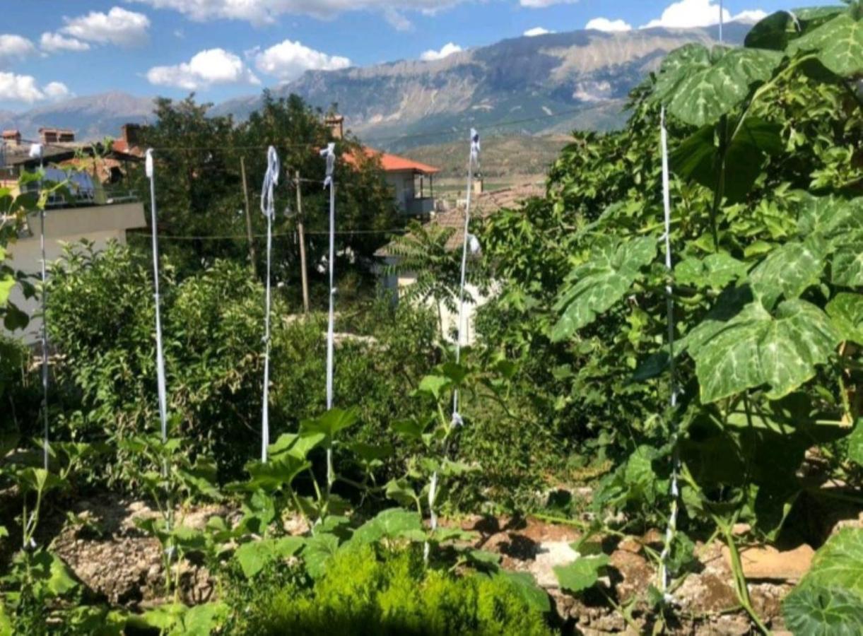MiziriGuestHouse Gjirokastër Eksteriør billede